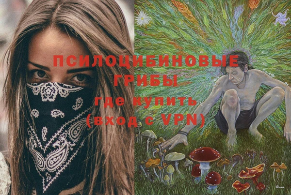 скорость Кинешма