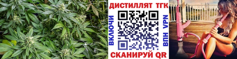 Купить  Гагарин  Дистиллят ТГК THC oil 